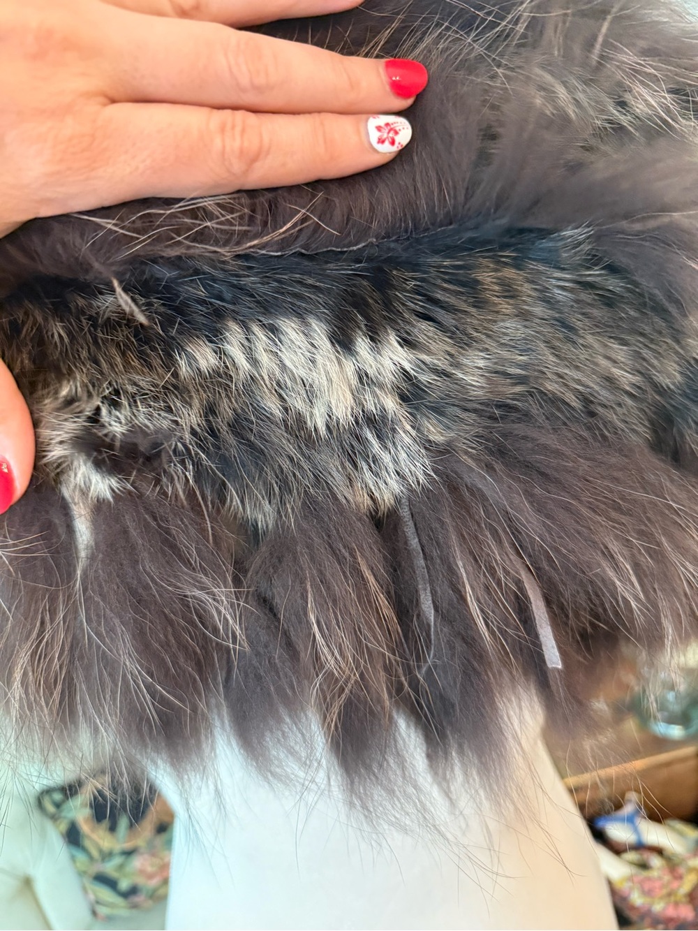 🤎🖤 FURLUX Genuine Fur Cowl Scarf Wrap Luxury Winter Accessory Quebec Designer - Picture 3 of 13
